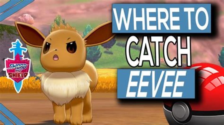 Pokemon Sword & Shield: Where to Get Eevee