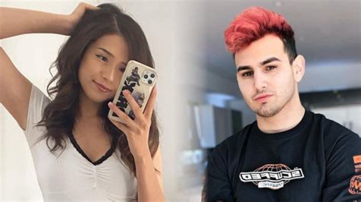 Pokimane releases her own Fedmyster document to 