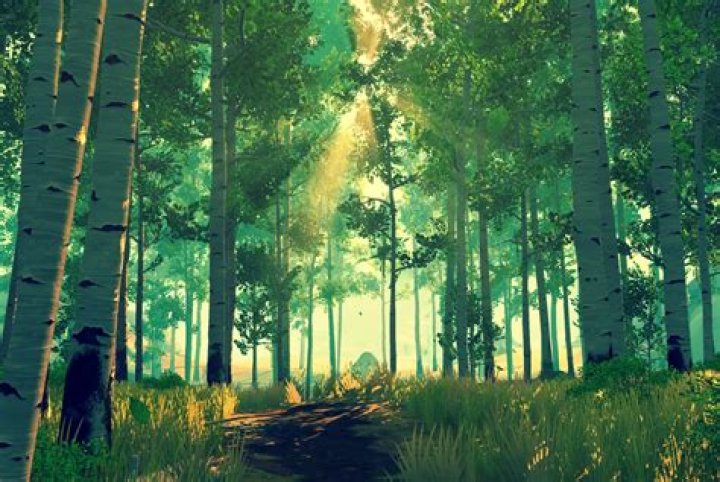 Polygon’s 2016 Games of the Year #4: Firewatch