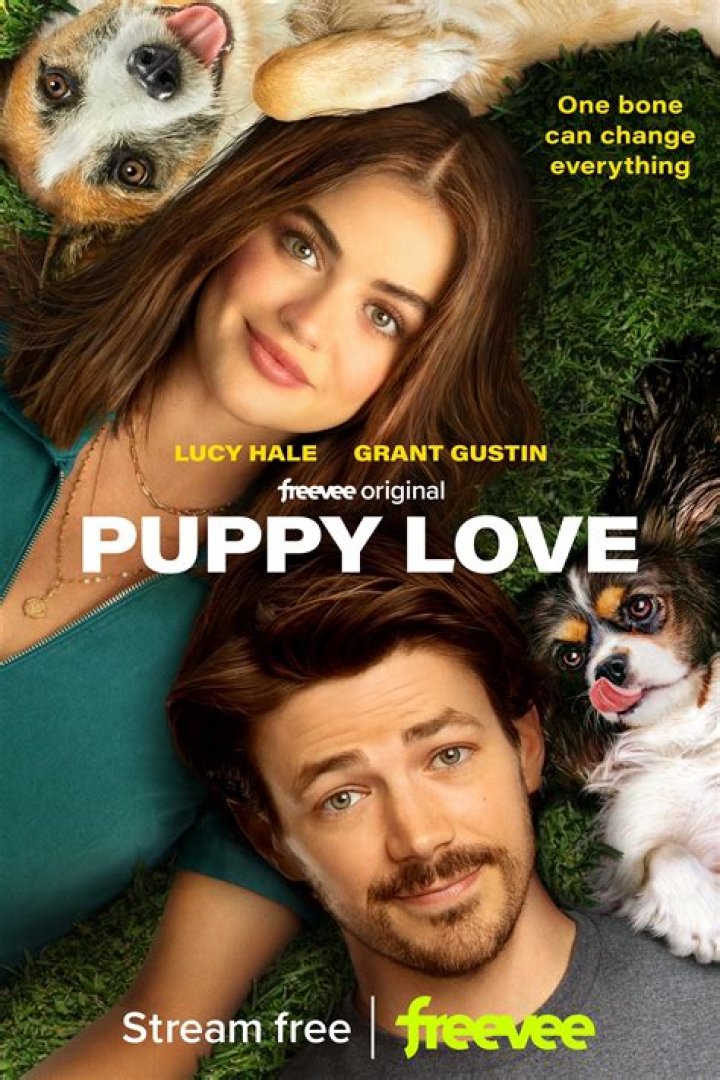 	PUPPY LOVE GOES BAD …AS DOES FILM	