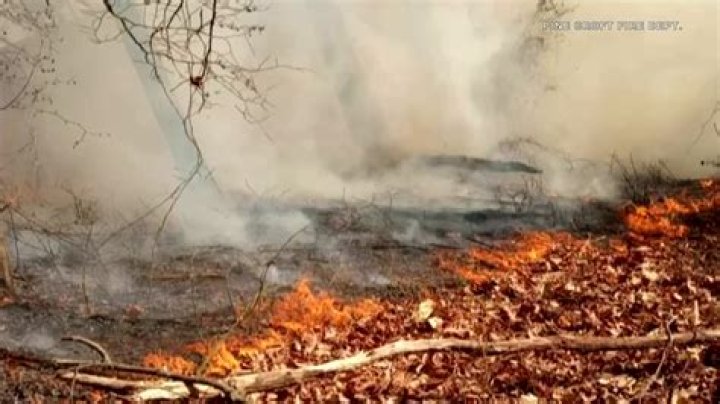 Rain brings relief amid brush fires, but only temporarily