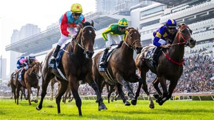 REACH GOAL (G067) 一舖到位 | Horses | HK Racing