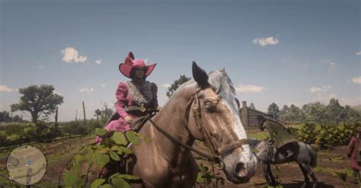 Red Dead Online players hate my Belgian Draft horse Hayseed