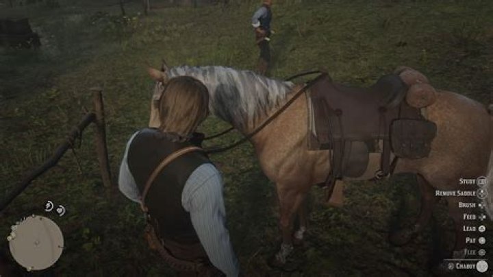 Red Dead Redemption 2: How to Brush Your Horse