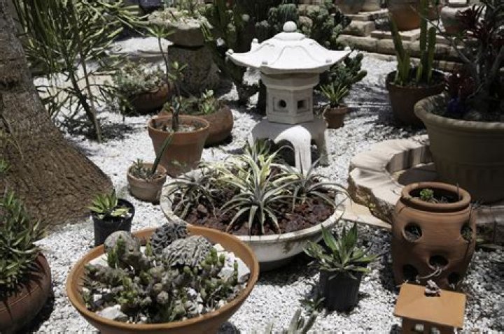 	Resolve to consider xeriscaping in 2020	