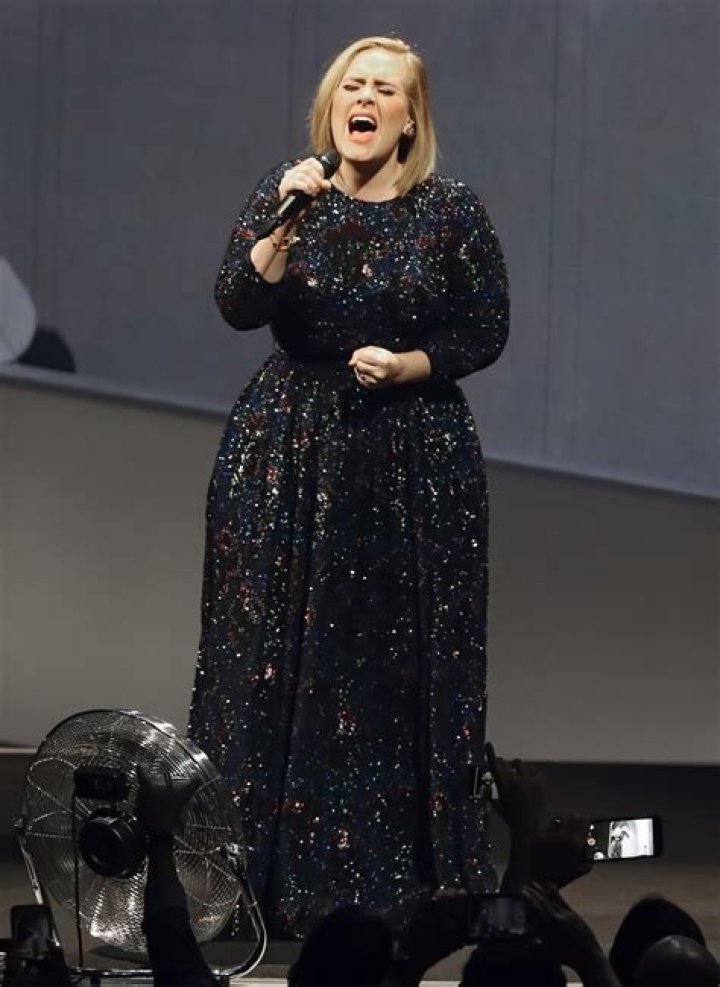 	Review: Adele dazzles Miami crowd, Hillary Clinton	
