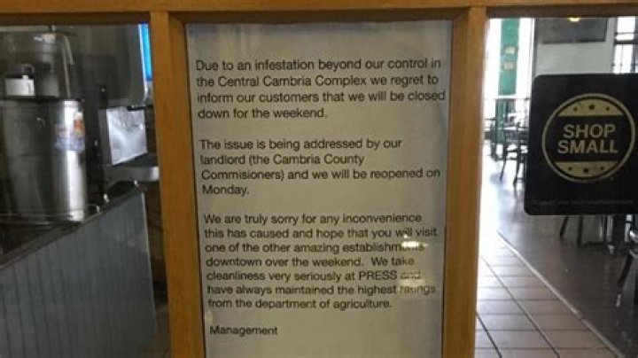 Roaches in food prep and service areas shuts down Johnstown restaurant