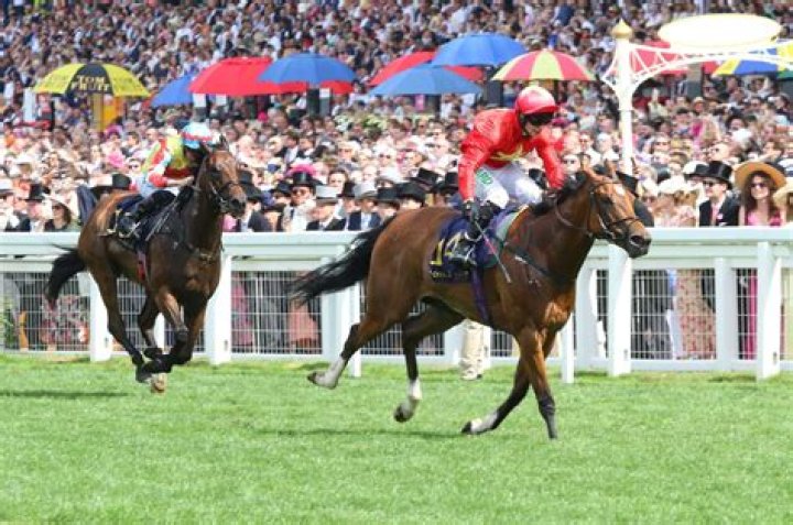 Ryan Moore left bloodied as Wellington runs 10th in incident-packed Royal Ascot feature | HK Racing