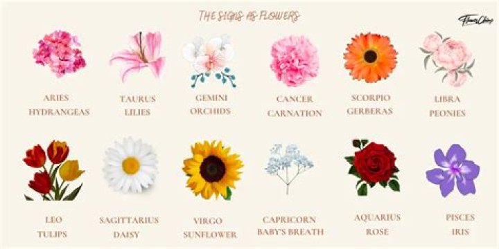 Sagittarius Zodiac Flower: The Blossoms Of The Adventurous Archer