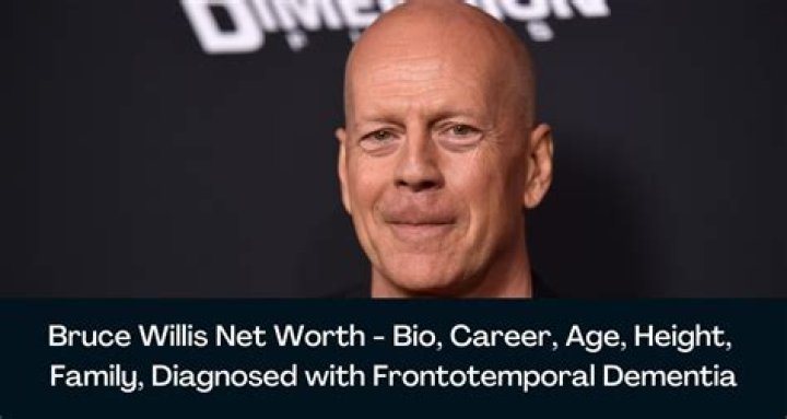 Sammy Halsa - Bio, Career, Age, Net Worth, Height, Facts