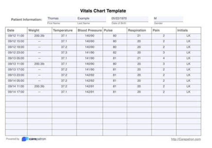 Sara Contreras: Uncovering The Model's Vital Stats