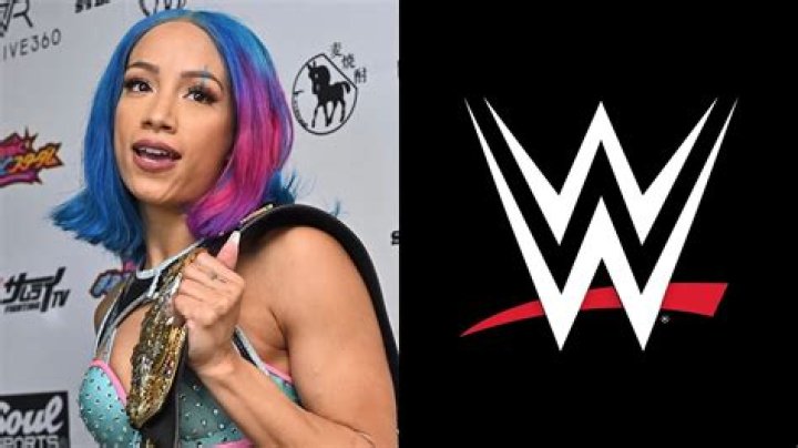 Sasha Banks to return and align herself with 34-year-old superstar? Exploring comeback plans
