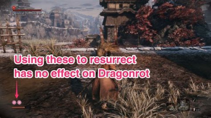 Sekiro Rot Essence and Dragonrot guide