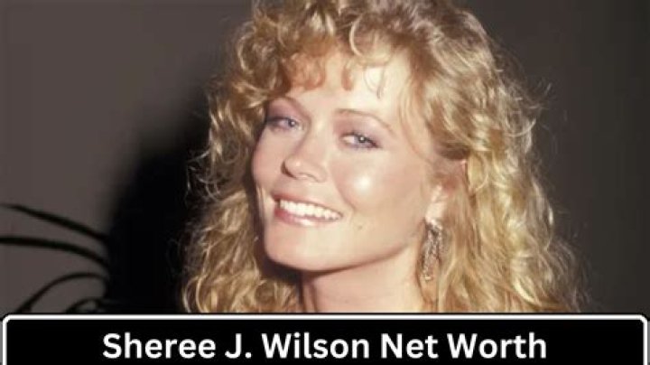 Sheree J Wilson Net Worth 2024