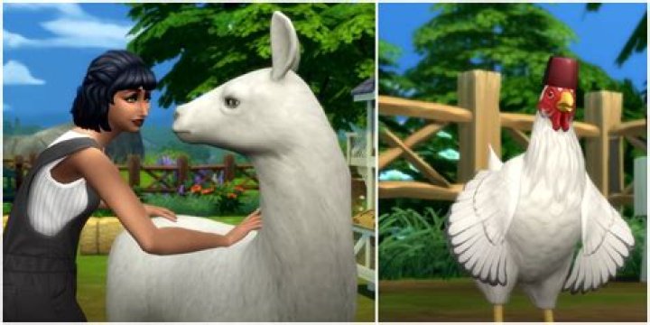 Sims 4 Cottage Living Guide: How To Dress Your Animals