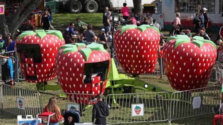 	SMALL BITES: Boca Strawberry Festival is this weekend’s sweetest thing to do	