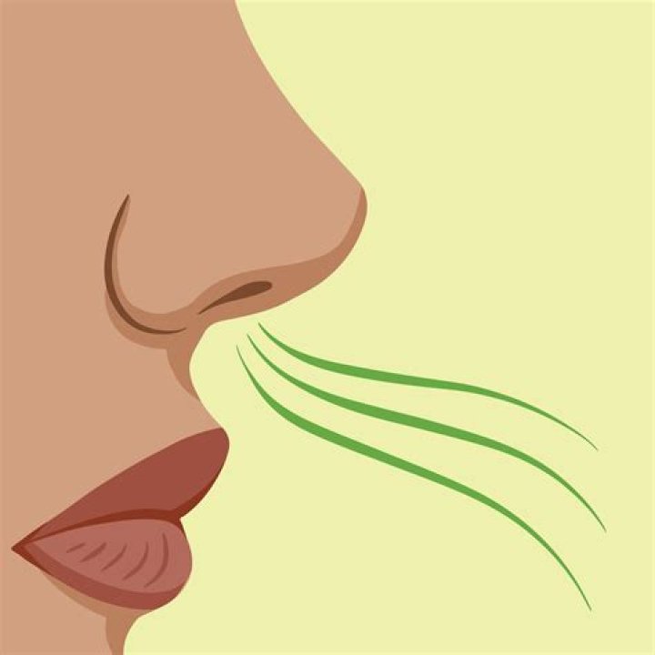 	SMELL THAT FLAGRANCE — IT’S OBVIOUSLY FOUL	