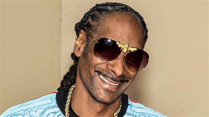 Snoop Dogg's Criminal Record: A Comprehensive Look