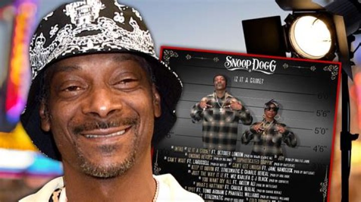 Snoop Dogg Criminal Record: A Deep Dive Into The Life Of An Icon