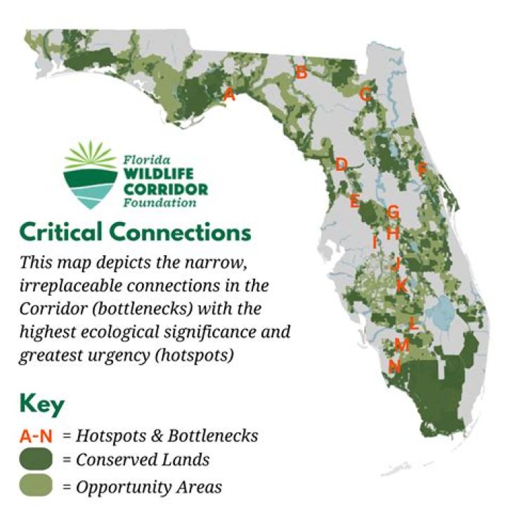 	SOUTH FLORIDA WILDLIFE MANAGEMENT AREAS	