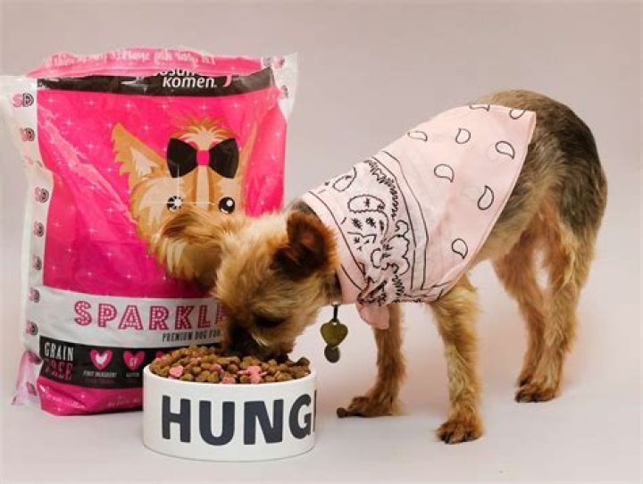 Sparkle Dog Food Net Worth | Age, Height, Weight, Dating And More