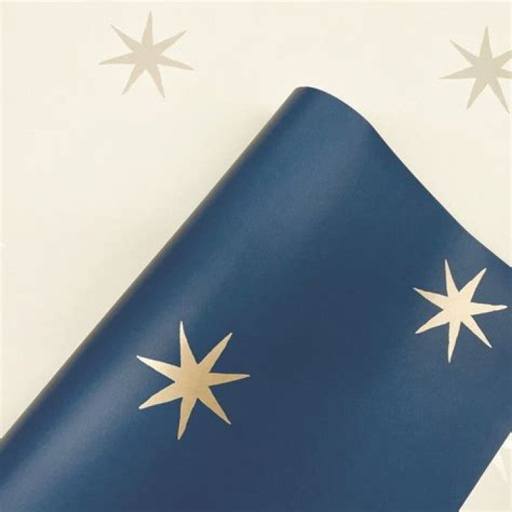 Star Splendor Premium Peel + Stick Wallpaper Roll
– Laurel Mercantile