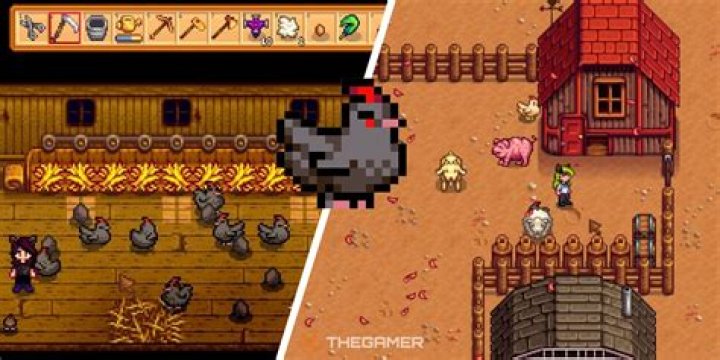 Stardew Valley: How to Get a Void Egg and Chicken