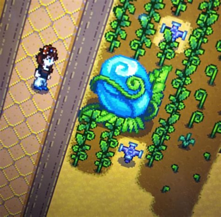 Stardew Valley: How to Get an Ancient Fruit and What it’s For
