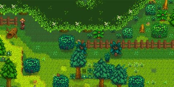 Stardew Valley: How to Get to the Secret Woods
