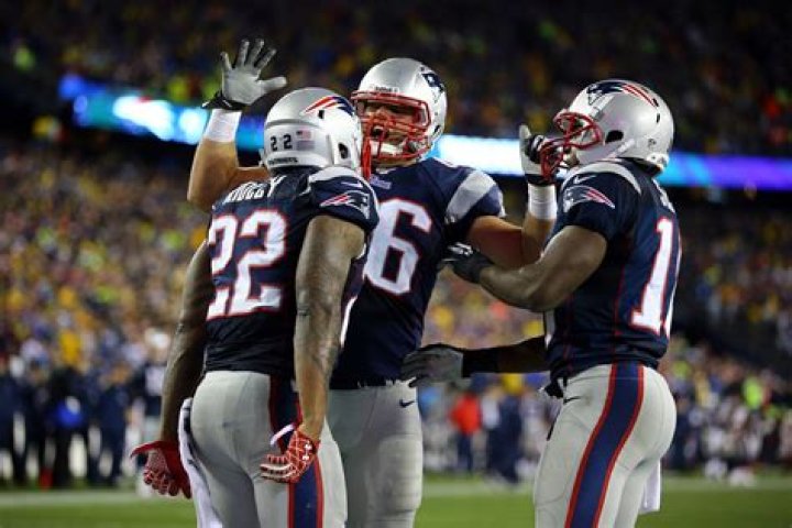 Stevan Ridley Net Worth 2024