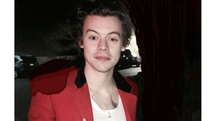 Stevie Nicks Says Mick Fleetwood Has 'Adopted' Harry Styles