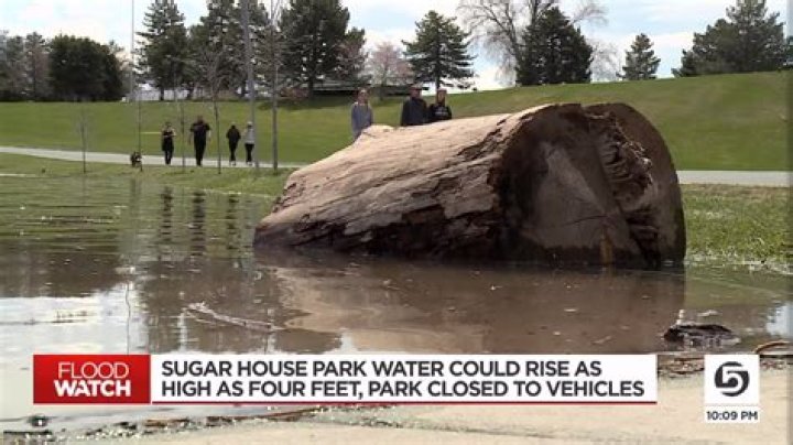 Sugar House Park filled with water over the weekend