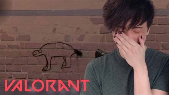 Sykkuno stunned by new Valorant lobster spray inspired by him