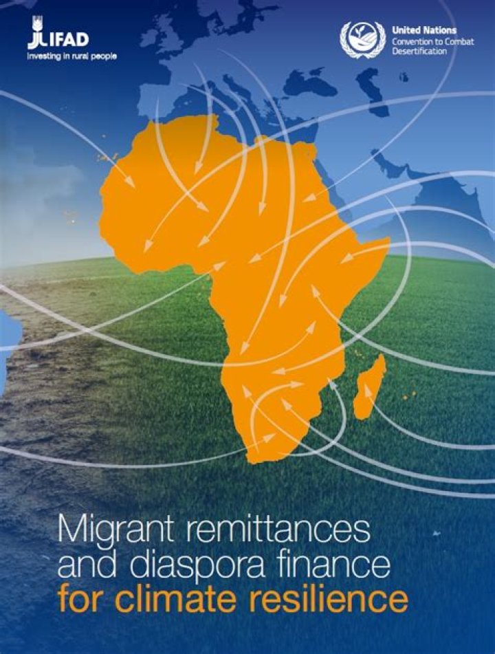 Tanzanian diaspora remittances reach 189.13 mln USD in 2020 - Xinhua