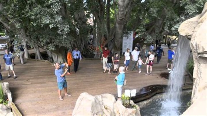 	Terra Ceia to PETA: The mullet toss lives!	