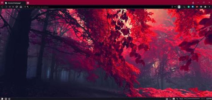 The 15 Best Themes for Vivaldi to Liven Up the Browser