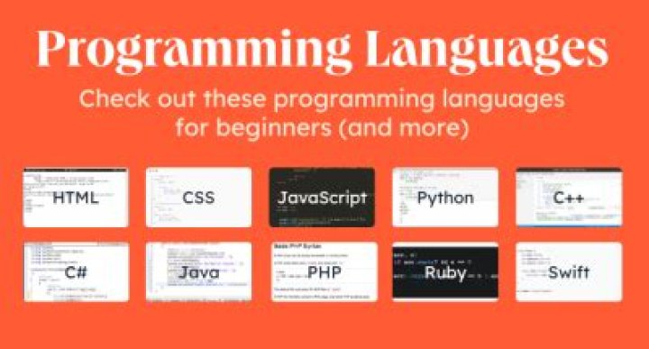 The Basics of Coding and Programming That You Need to Know