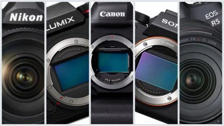 The Best Cameras for Professional Photography