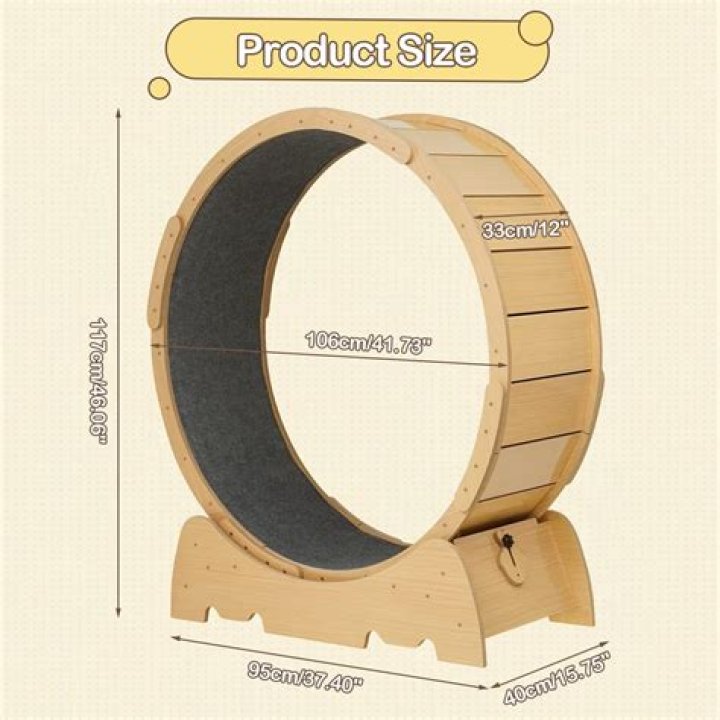 	The best cat exercise wheel	