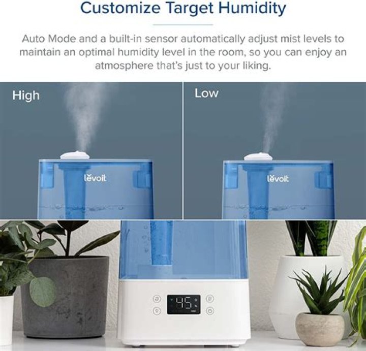 The Best Smart Humidifiers for Cool or Warm Mist