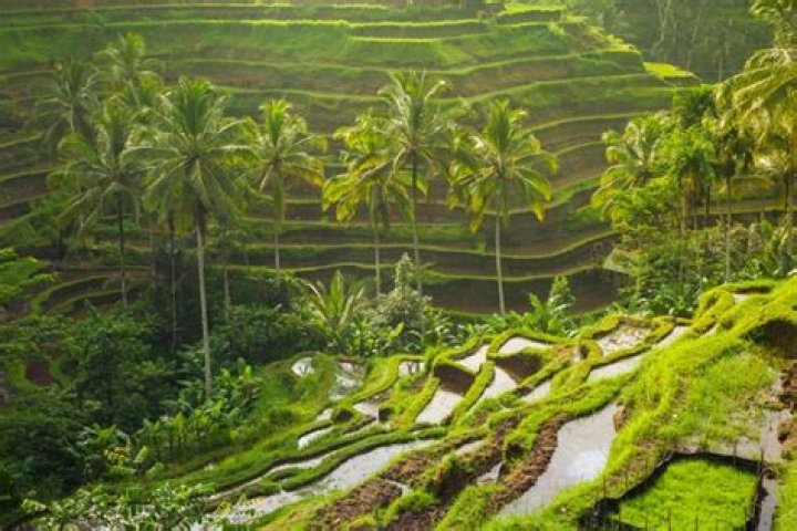The good, bad and ugly sides to Bali