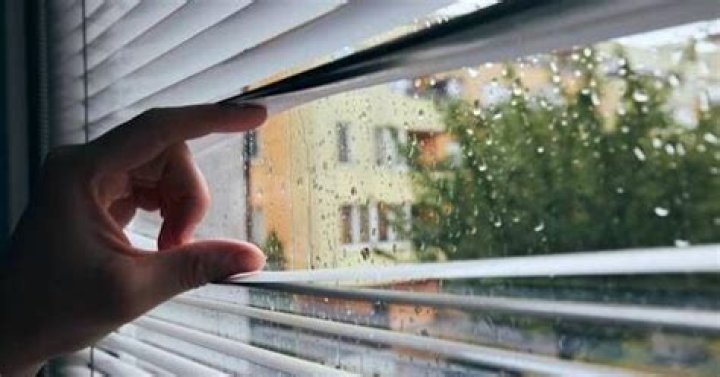 The grumpy neighbor | Columnists