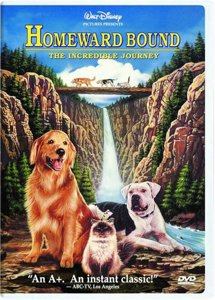 The Incredible Journey Of Theo Brady: From Dreams To Reality