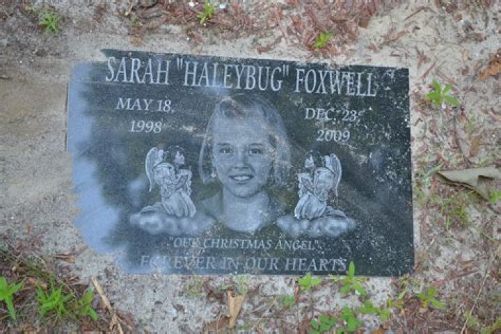 	The search and memorial for Sarah Foxwell	