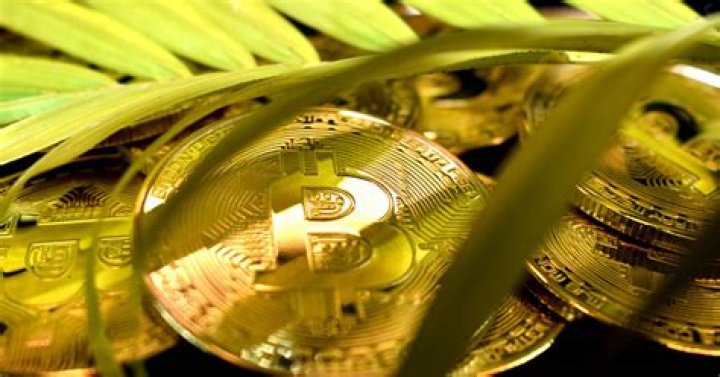 The Top 5 Environmentally Friendly Bitcoin Alternatives