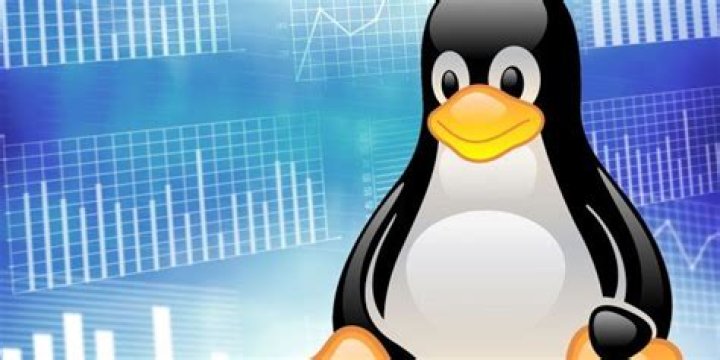 The True Market Shares of Windows vs. Linux Compared