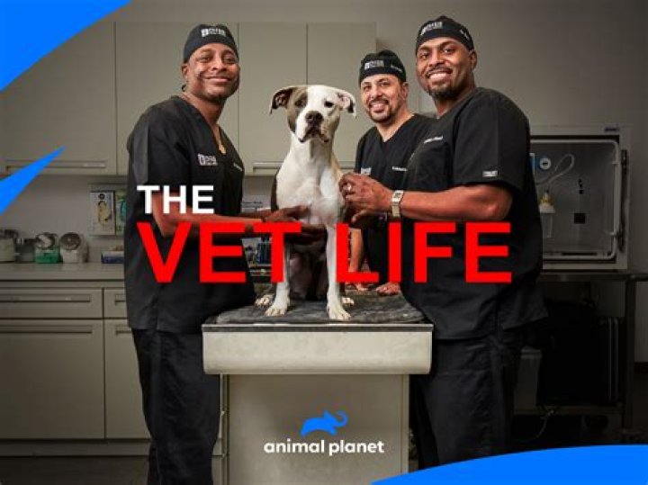 The Vet Life Lawsuit Outcome Update Today