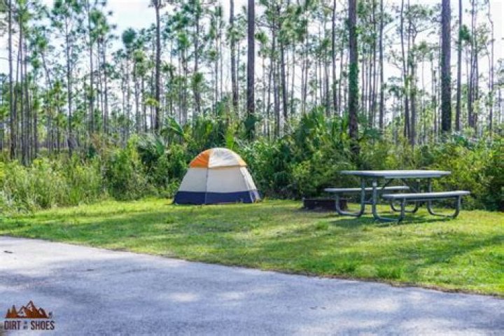	Time is right for camping in the Everglades	