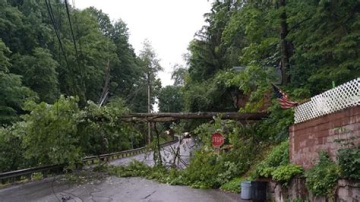 Tree down causes power outages in Brownstown