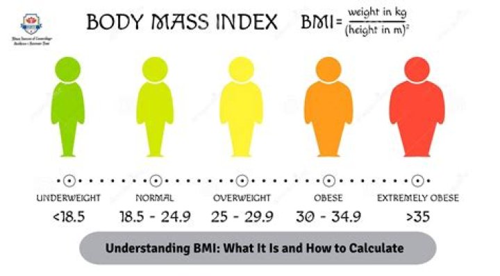 Understanding Blake Lively's BMI: A Comprehensive Analysis